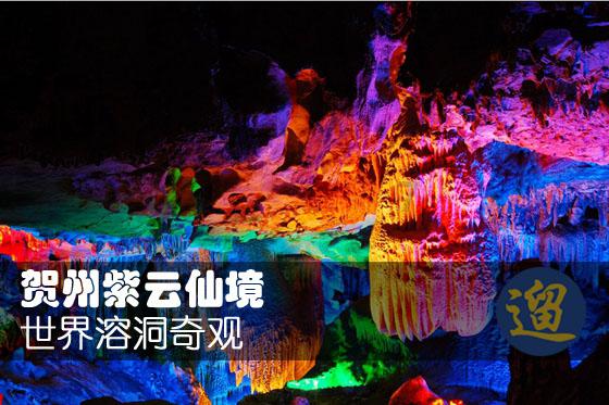 小猫钓鱼游戏龙王版有船