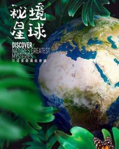 大连英博队徽可以简洁些!沈阳官宣12虎加盟,商隐林隆昌桂子涵+39岁老将在列