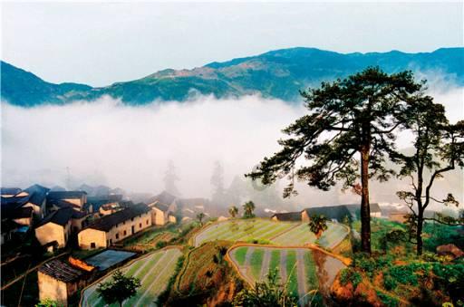 深耕年货场景11年 百草味年的味道坚果礼盒荣获“年度产品”奖