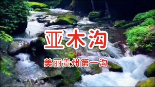 寻找遗失的手提包