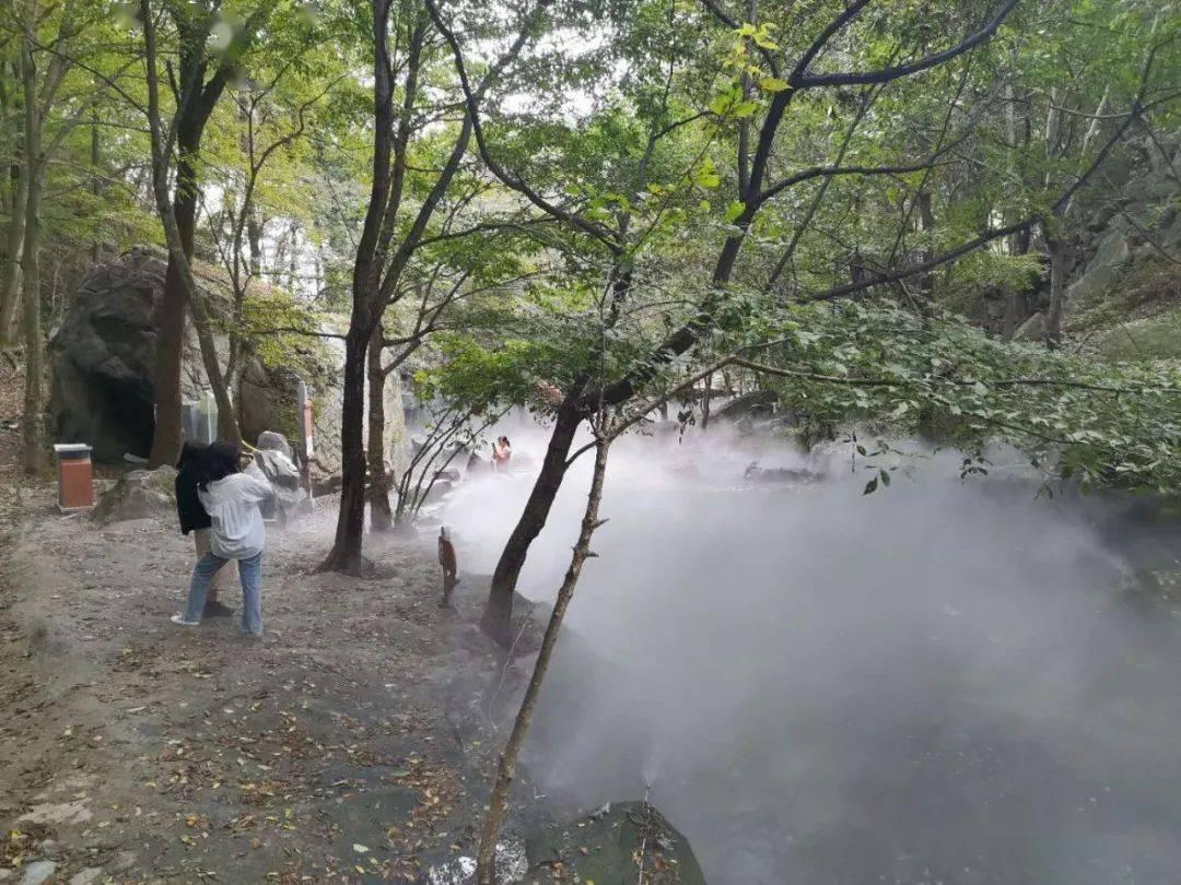 凰家看台|房地产的废墟里，八冠王在自救