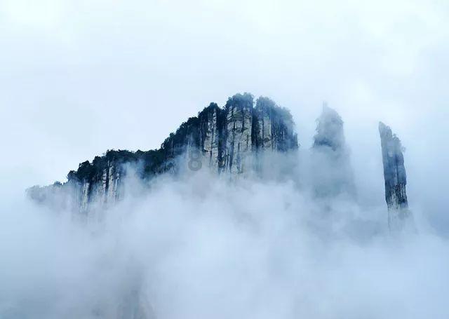 【不想和前夫和好,但外面又找不到好的?】- 学习知识必备的知识星球平台
