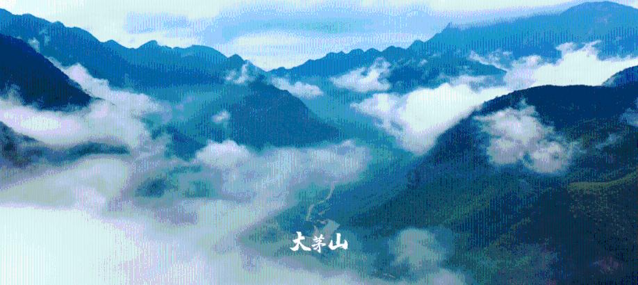 服务升级,超越自我迈克尔杰克逊、乔丹、舒马赫,这三人中谁的影响力最大?