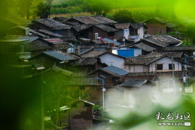 《要久久爱》蒋翼妥妥的活祖宗,庄远为了嗑糖简直遭老罪了