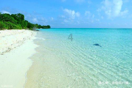 大腿内侧一个部位轻轻一碰就痛怎么回事-200段知识的旅程