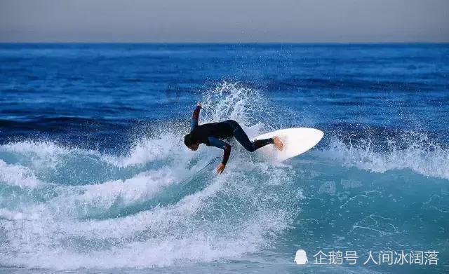 【网页标题】狗狗一直喘气 吐白色的泡沫 我怀疑和它咬了我的仓鼠有关! 今天一直喘 喘个不停! 好像有什么东西卡住一样-专业问答平台,分享知识 解答疑惑