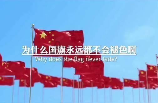 齐鲁石化工资真实待遇游戏画面