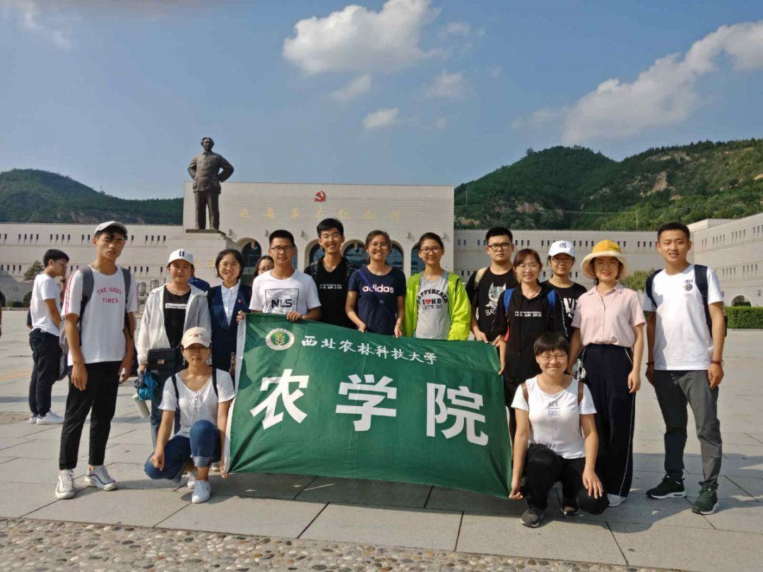 微软正式推出xbox触控操作功能