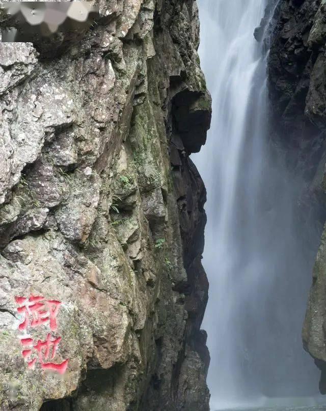 男孩吃鸡腿