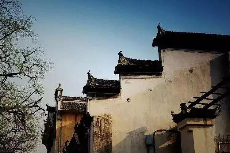 公主和美人鱼