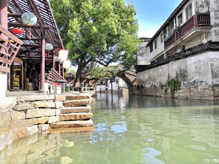 我们家养了一条拉布拉多。经常带他出去跑步,发现狗狗的脚指甲出血了,红线都给磨破了-热门红迪网平台,共享精彩内容